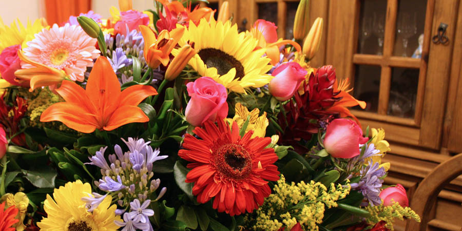 videofilmacion.com.mx